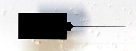 The Neuropixels probe is 10mm long and thinner than the width of a human hair.