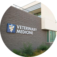 Building - UC Davis Veterinary Medicine, CounterACT Center of Excellence