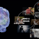 Mind and brain, disease and technology collage  
