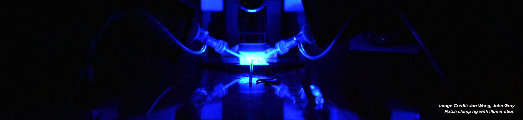 Patch clamp rig with bright blue illumination; cells and signals image header