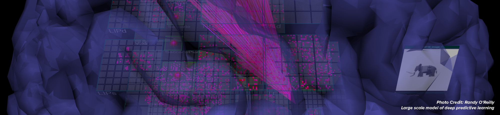 large scale model of deep predictive learning